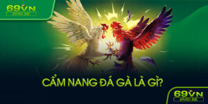 Cẩm nang đá gà là gì