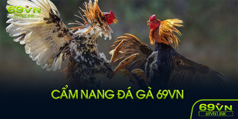 Chiến thuật thi đấu hiệu quả