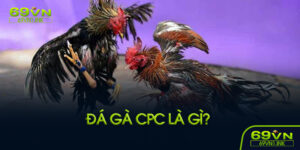 Đá gà CPC là gì