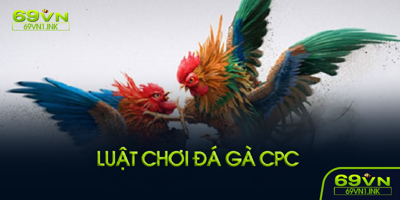 Luật chơi cơ bản