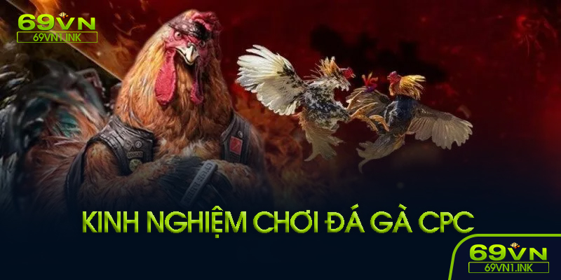 Đá gà CPC tại 69VN