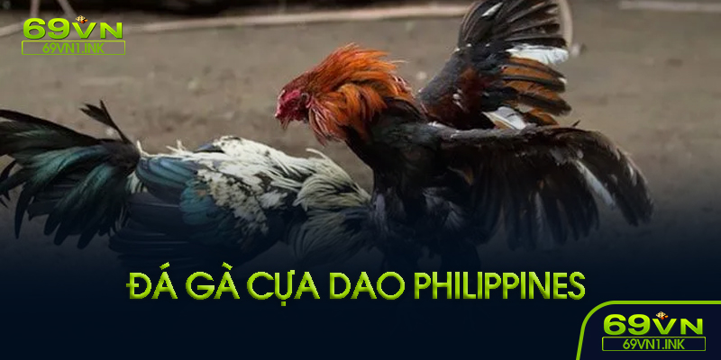 Đá gà cựa dao Philippines là gì