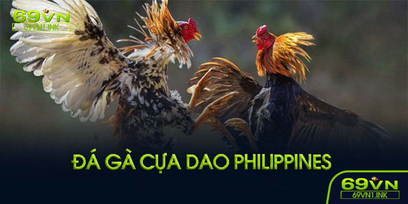 Kinh nghiệm chơi đá gà cựa dao