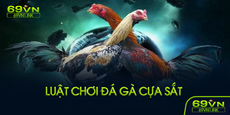 Luật chơi đá gà cựa sắt
