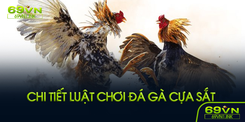 Quy định thi đấu cơ bản