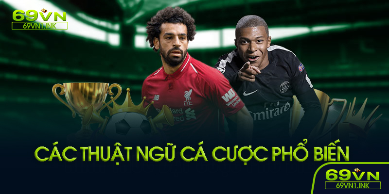 Những thuật ngữ phổ biến